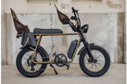 Astonic Earth extended | Familie editie - E fatbike astonic 366  - AEE250FKG