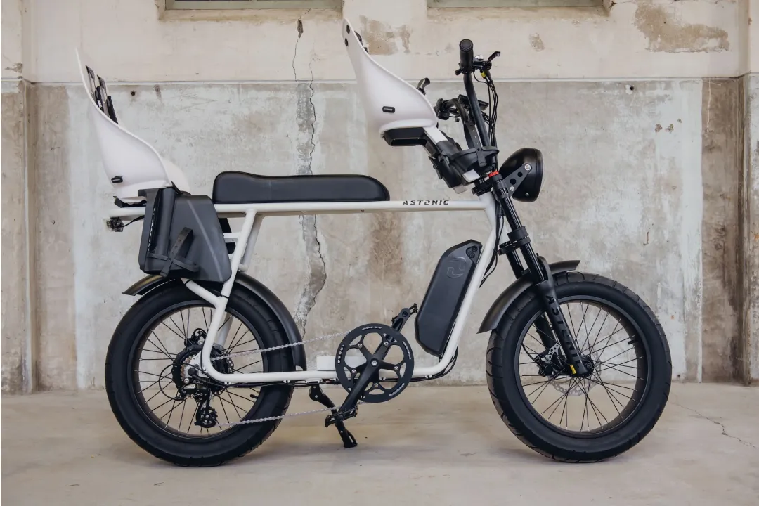 Astonic Earth extended | Familie editie - E fatbike astonic 383 1 - AEE250FSW (3)