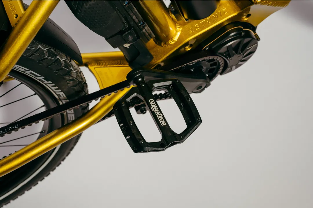 Astonic Wave sport - Meest exclusieve e bike handgemaakt in nederland 10 14 - AW250S (560)